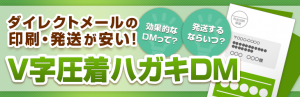 V字圧着ハガキDM